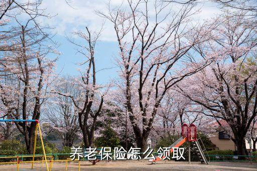 退休后社保怎么拿，退休后養(yǎng)老保險(xiǎn)如何取