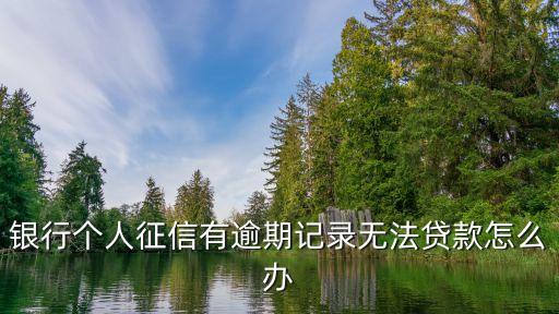銀行個(gè)人征信有逾期記錄無(wú)法貸款怎么辦