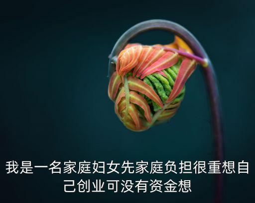 家庭主婦怎么貸款，我是外地人 暫時(shí)是家庭主婦 因?yàn)闆]有工作好像不可以貸款是