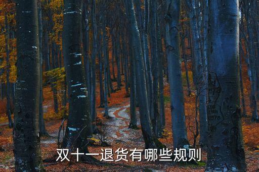 雙十一過后怎么退貨退款，雙十一買的東西不想要了怎么退貨