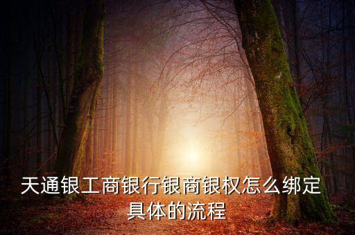工行銀商銀權(quán)怎么進，天通銀工商銀行銀商銀權(quán)怎么綁定  具體的流程
