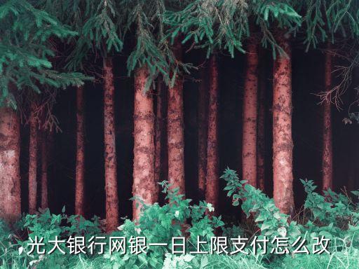 光大銀行超限費怎么撤，如果光大信用卡單月次數超限那又怎么辦呢求答案