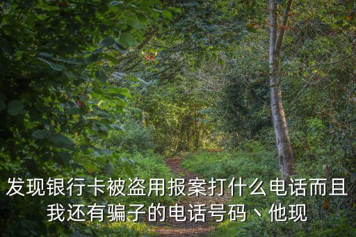 銀行卡被盜用怎么報警，發(fā)現(xiàn)銀行卡被盜用報案打什么電話而且我還有騙子的電話號碼丶他現(xiàn)