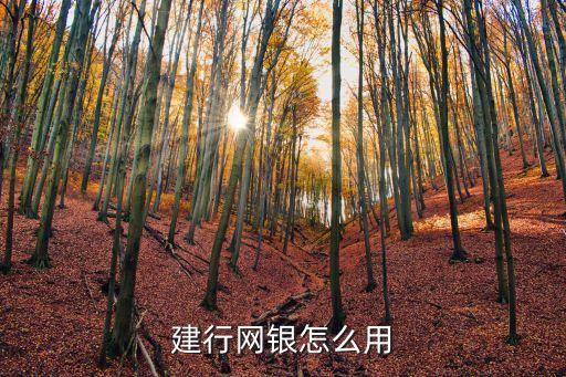 中國(guó)建設(shè)銀行網(wǎng)上銀行怎么用，建行的網(wǎng)銀具體的使用步驟是什么