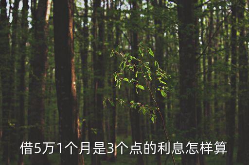 借5萬1個月是3個點的利息怎樣算