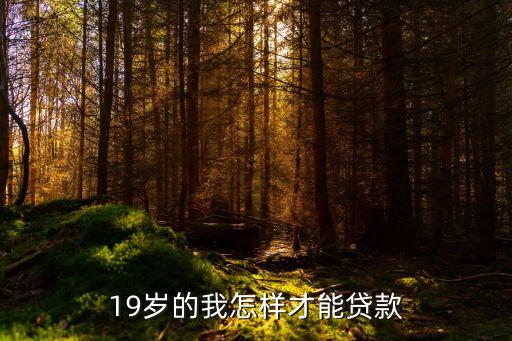 19歲的我怎樣才能貸款