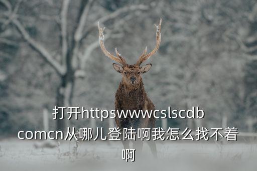 國(guó)家開(kāi)發(fā)銀行怎么登陸登錄，打開(kāi)httpswwwcslscdbcomcn從哪兒登陸啊我怎么找不著啊