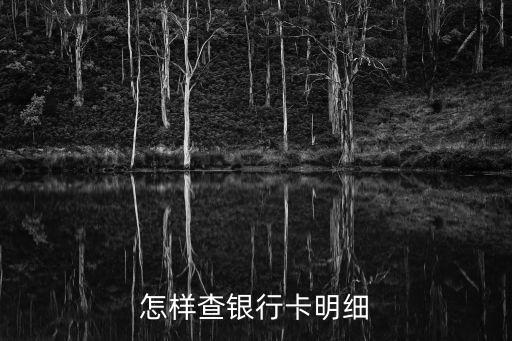 銀行卡清單怎么查，銀行卡的收支明細(xì)單怎么查
