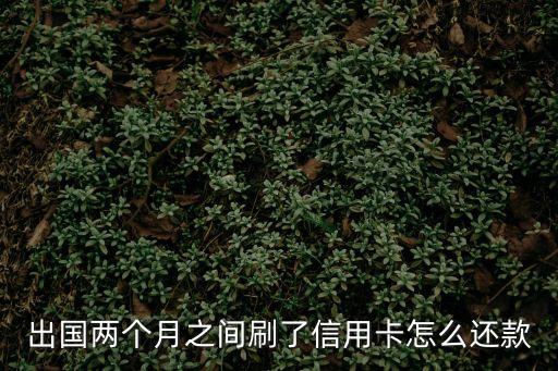 出國(guó)后怎么還信用卡嗎，人在國(guó)外怎樣還信用卡怎么辦