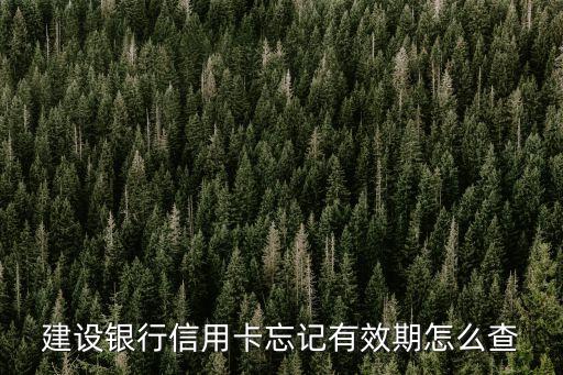 建設(shè)銀行信用卡忘記有效期怎么查