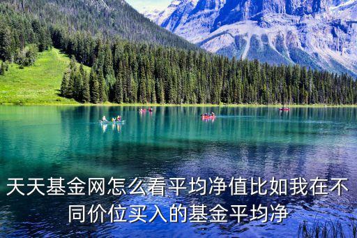 天天基金網(wǎng)怎么看平均凈值比如我在不同價位買入的基金平均凈
