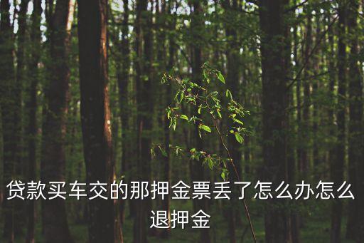 貸款買車交的那押金票丟了怎么辦怎么退押金