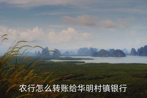 農(nóng)行怎么轉(zhuǎn)賬給華明村鎮(zhèn)銀行