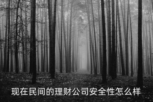 現(xiàn)在民間的理財(cái)公司安全性怎么樣