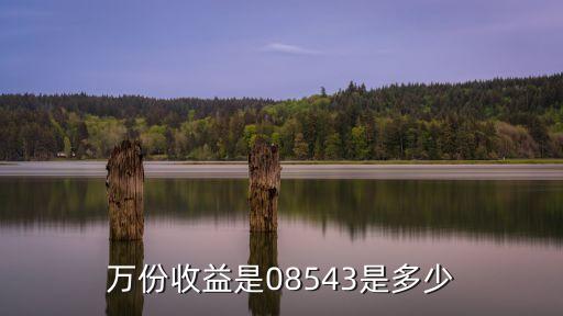 萬份收益是08543是多少