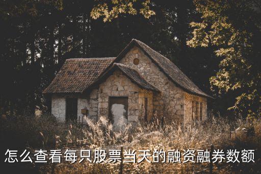 怎么查看每只股票當天的融資融券數額