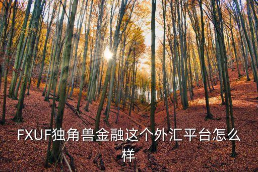 豐嶺資本 怎么樣，0001037基金怎么樣