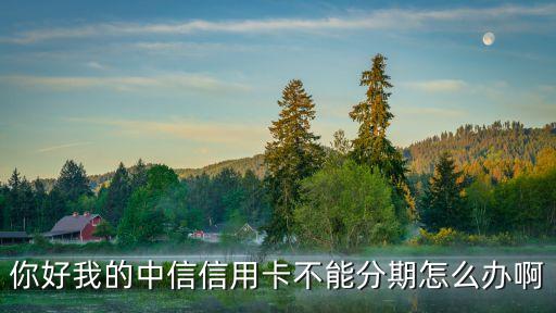 你好我的中信信用卡不能分期怎么辦啊