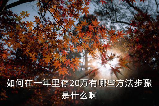 如何在一年里存20萬有哪些方法步驟是什么啊