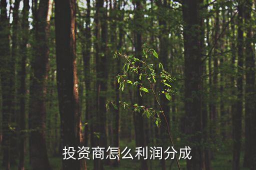 投資商怎么利潤(rùn)分成