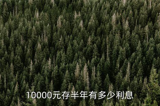 10000元存半年有多少利息