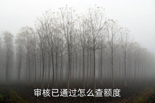 怎么查應用卡的額度，在哪里可以查到下卡額度