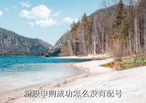 新股沒配號(hào)怎么辦，我也是怎么申購(gòu)了新股都沒有配號(hào)呢