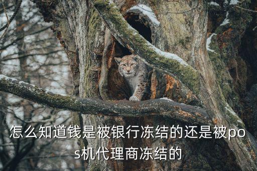 拉卡拉錢被凍結(jié)怎么查，拉卡拉pos機(jī)刷卡資金被凍結(jié)怎么