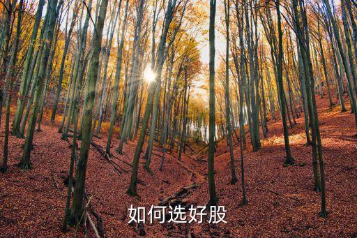 買股票怎么選好股，怎樣選好股票