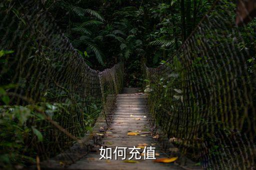 如何充值