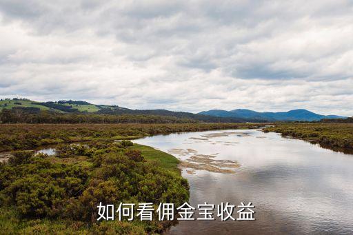 傭金寶怎么查看收益，如何看傭金寶收益