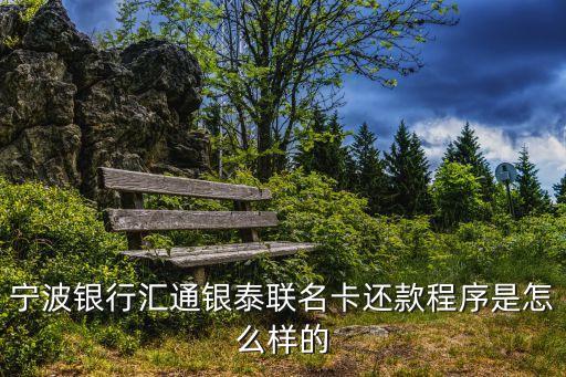 寧波銀行怎么還款，寧波銀行電子賬戶如何還款