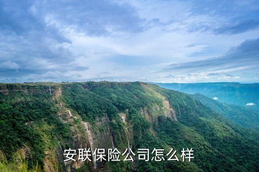 安聯(lián)保險 怎么樣，安聯(lián)人壽保險怎么樣
