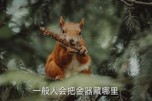 一般人會把金器藏哪里