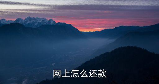 網(wǎng)上怎么還款