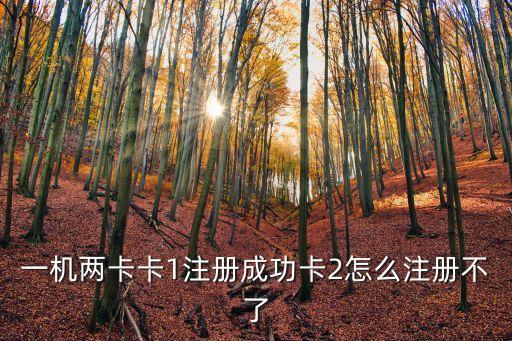 卡2怎么激活不了，iphone4激活不了第二張sim卡怎么辦