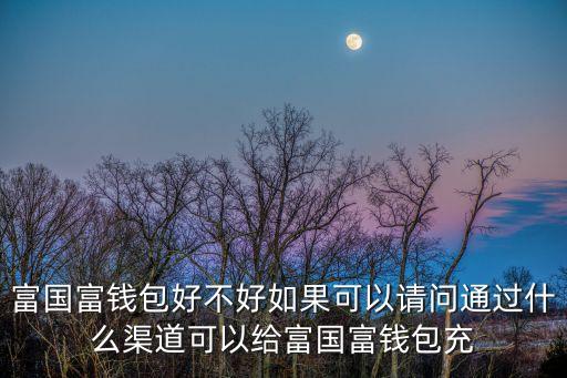 富國富錢包好不好如果可以請問通過什么渠道可以給富國富錢包充