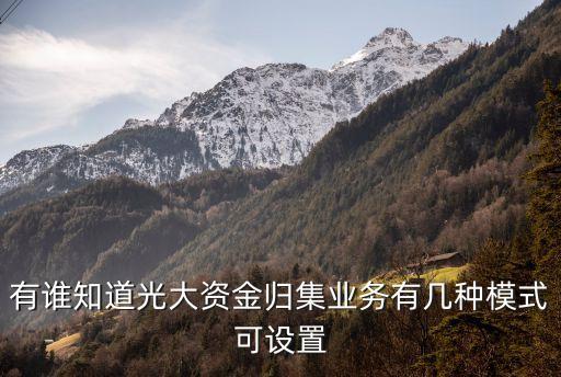 光大資金歸集怎么開通，有誰知道光大資金歸集業(yè)務(wù)有幾種模式可設(shè)置