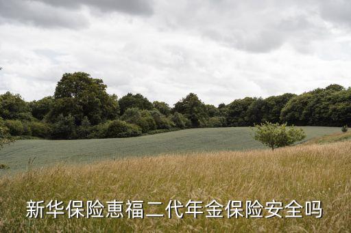 惠福寶二代年金怎么樣，類的理財產(chǎn)品同事建議我可以選購新華的惠福寶二代怎么樣