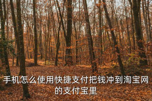 手機怎么使用快捷支付把錢沖到淘寶網的支付寶里