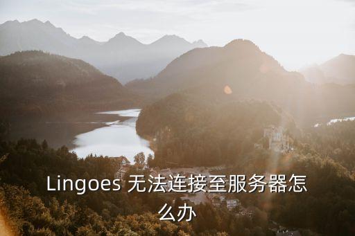 Lingoes 無(wú)法連接至服務(wù)器怎么辦