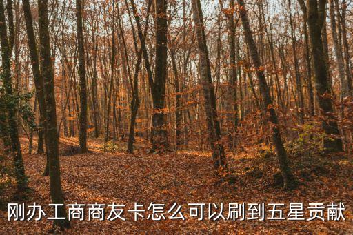 工商銀行商友卡怎么升星，工商銀行卡怎么提星