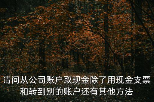 請(qǐng)問(wèn)從公司賬戶(hù)取現(xiàn)金除了用現(xiàn)金支票和轉(zhuǎn)到別的賬戶(hù)還有其他方法