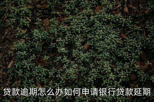 貸款逾期怎么辦如何申請(qǐng)銀行貸款延期
