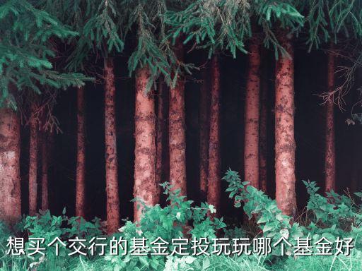 想買個(gè)交行的基金定投玩玩哪個(gè)基金好