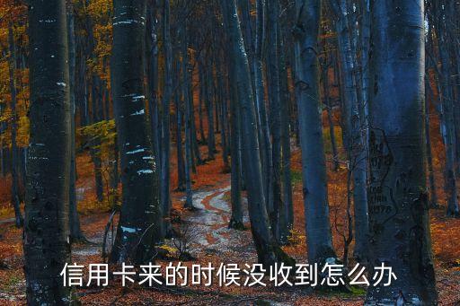 信用卡來的時(shí)候沒收到怎么辦