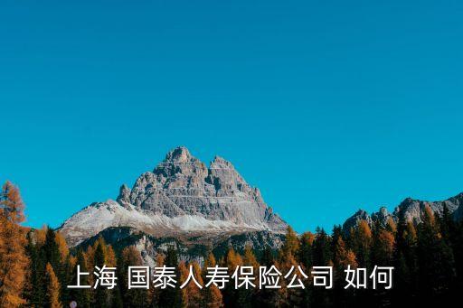 上海 國(guó)泰人壽保險(xiǎn)公司 如何