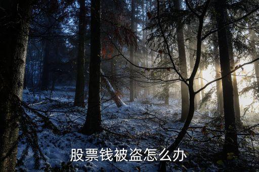 股票錢被盜怎么辦
