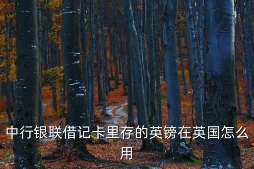 英國(guó)怎么使用銀聯(lián)卡，在英國(guó)能用銀聯(lián)的銀行卡嗎需要開通什么業(yè)務(wù)嗎