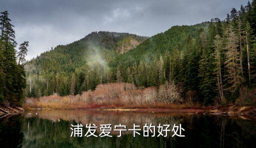 浦發(fā)愛寧卡的好處
